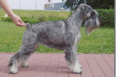 Ebi