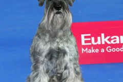 Ebi