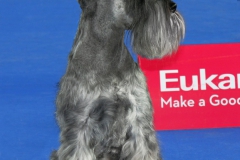 Ebi