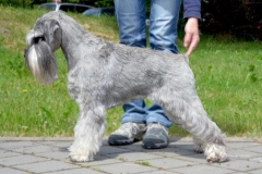 Ebi