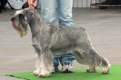 Ebi