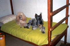 benn_babi_hora_01