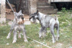 fera_zelena_voda_kryti