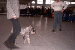 mvp_brno_1999_benes