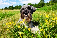 Hadley-leto-2019-1