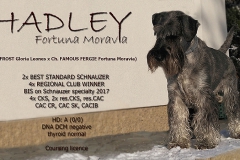 Hadley