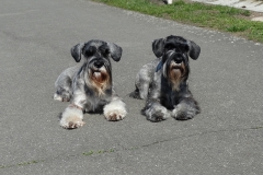 Hanny-Justine-brezen-2019-01