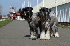 Hanny-Justine-brezen-2019-03
