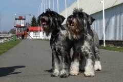 Hanny-Justine-brezen-2019-04