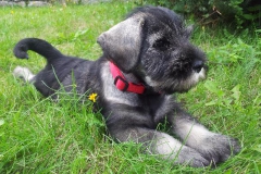 hanny_0209_1