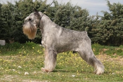 Athos-1