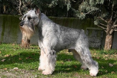 Athos-2