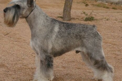 Athos-3