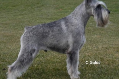 Athos-4