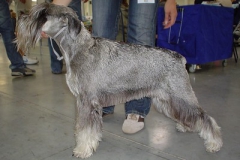 aggie_blava_08_2007_03