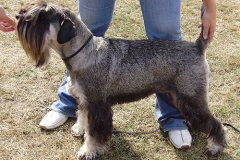 Brooke Bogy