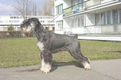 winnie-2
