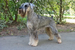 winnie-3