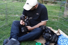 vrh-ch-37den-18
