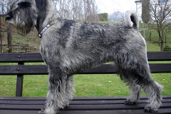 fair-shake-fm-7months-old_01