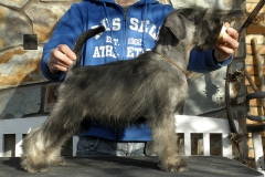 Giuseppe