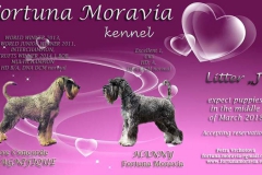 plakat-Sammy-Hanny-800