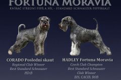 Banner-vrh-K-800