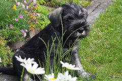 Karlos-9-6-2020-4