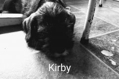Kirby-31-5-2020-2