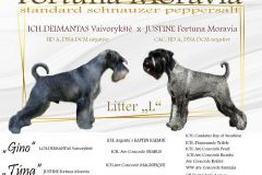 banner litter L