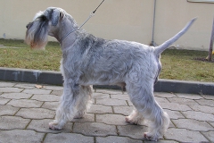 Carlo