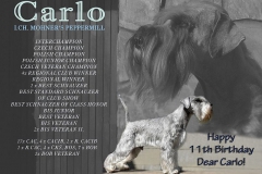 Carlo