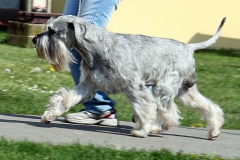 Carlo