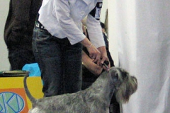 Carlo