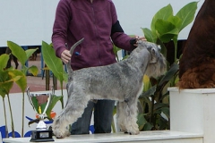 Carlo