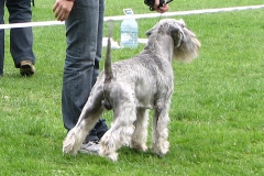 Carlo