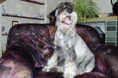 Rendy