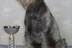 Rendy